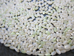 籾すり機で籾すり後の玄米
