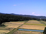 楢山集落の上空から撮影した稲刈り後の田んぼ