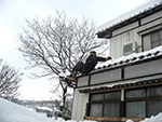 屋根からジャンプしても、積もった雪の上なら大丈夫