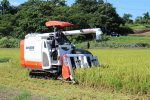 平成28年産米新米の稲刈りが始まりました。