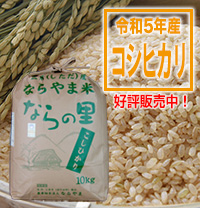循環型農業で安全・安心な米作り　新潟県特別栽培米コシヒカリ【ならの里】