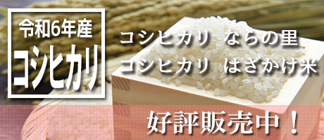 今年もおいしいお米ができました。令和6年産米（コシヒカリならの里、コシヒカリはざかけ米）好評販売中です。