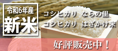 今年もおいしいお米ができました。令和6年産米（コシヒカリならの里、コシヒカリはざかけ米）好評販売中です。