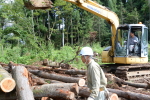 杉の伐採・整地作業