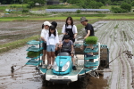 笹岡小学校の児童が田植え機での田植えに挑戦