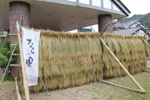 道の駅漢学の里しただではざかけ