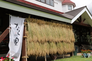 八木ケ鼻温泉いい湯らていではざかけ