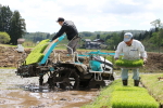 飼料米「新潟次郎」の田植え