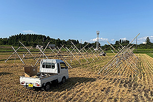 はざ掛け台