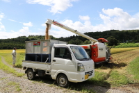 コシヒカリの稲刈り