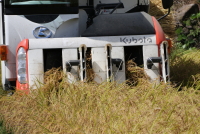 コシヒカリの稲刈り