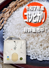 新潟県産コシヒカリ「ならの里」は循環型農業で作られた、安全・安心なお米です。玄米3キログラム入り