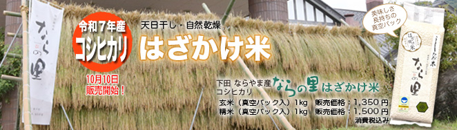 循環型農業で安全・安心な米作り　新潟県特別栽培米コシヒカリ【ならの里】はざかけ米
