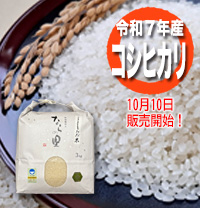 循環型農業で安全・安心な米作り　新潟県特別栽培米コシヒカリ【ならの里】