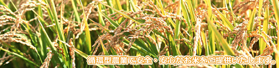 農事組合法人ならやまは「循環型農業」で安全・安心なお米をご提供いたします。
