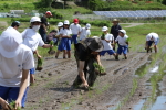 笹岡小学校の子供たちが当法人の田んぼで田植え