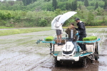 笹岡小児童が田植え機体験