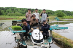 笹岡小児童が田植え機体験