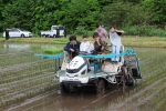 笹岡小児童が田植え機体験