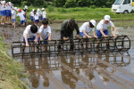 笹岡小学校の児童が田植え授業