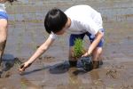 笹岡小学校の児童が田植え授業