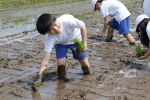 笹岡小学校の児童が田植え授業