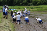笹岡小学校の児童が田植え授業